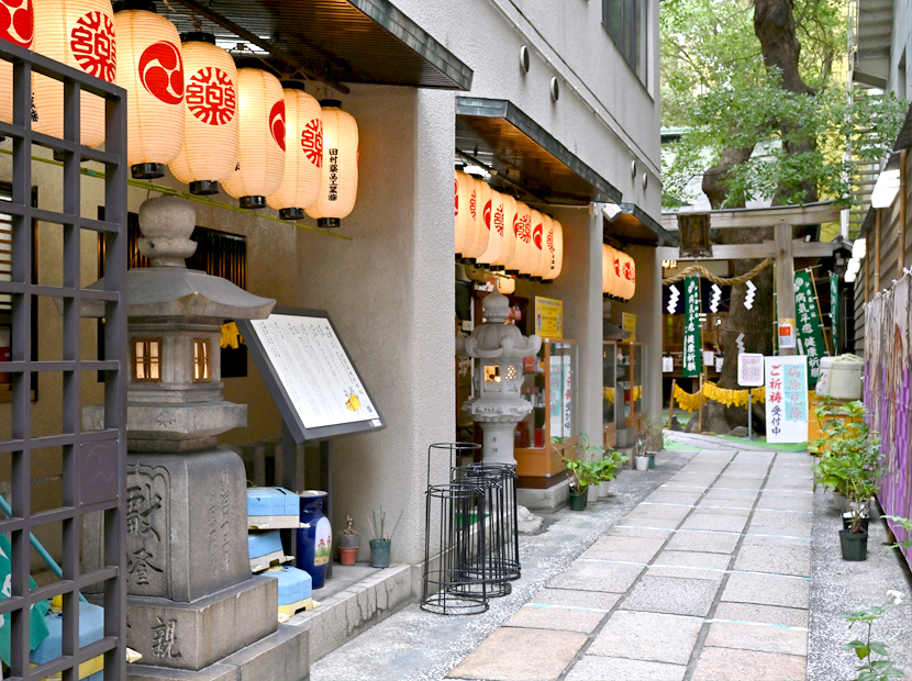 少彦名神社's image 3