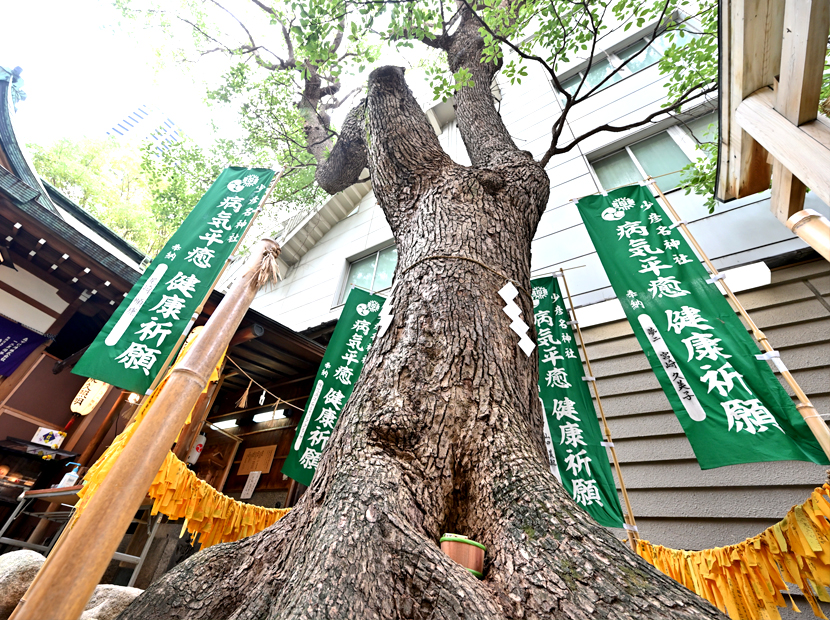 少彦名神社's image 4